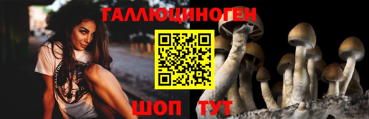 где купить наркоту  Вход с VPN  Клин  Псилоцибиновые грибы ЛСД 